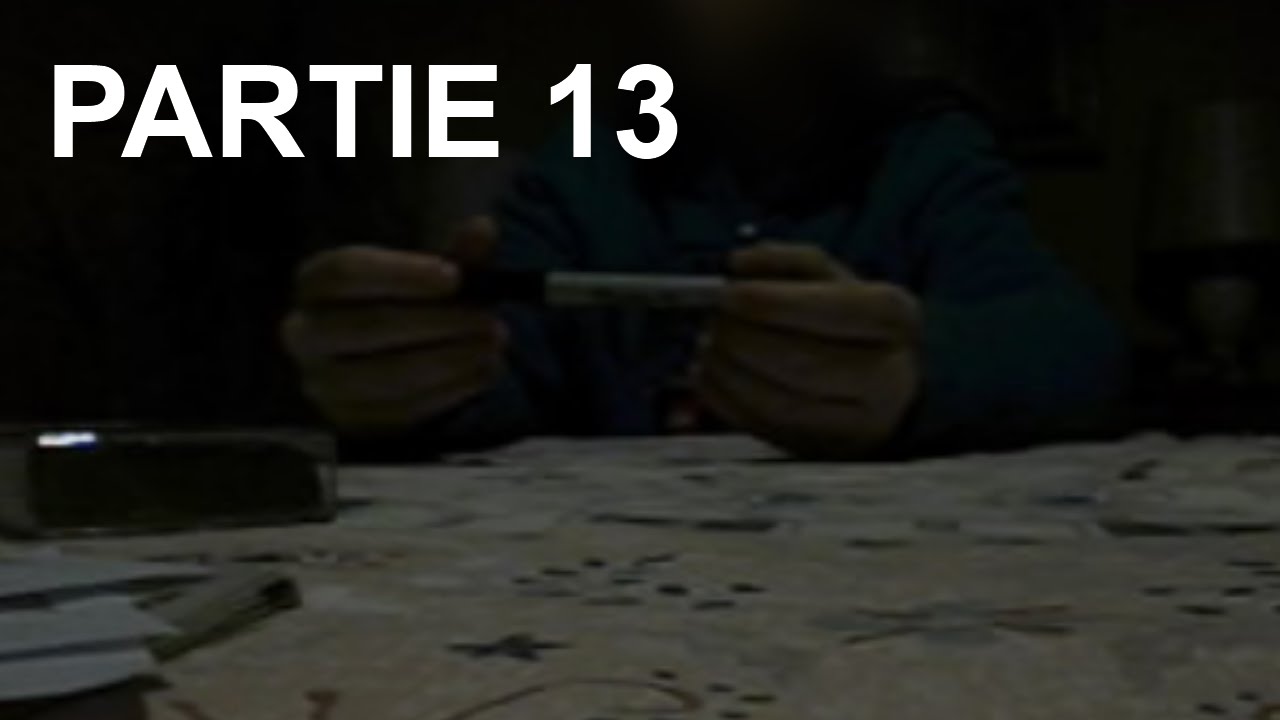 Partie 13 signes D cover art