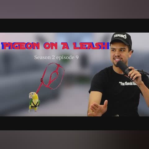 PIGEON ON A LEASH -You Should Know Podcast- Season 2 Ep 9 cover art