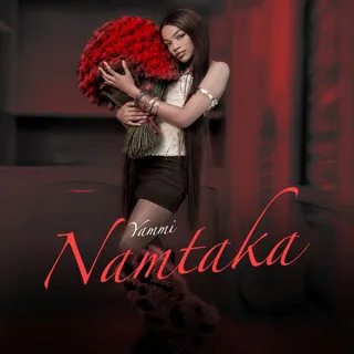 Namtaka cover art