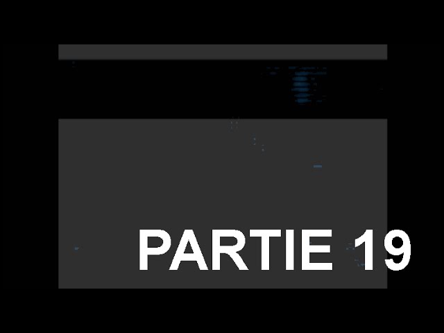 Partie 19 signes D cover art