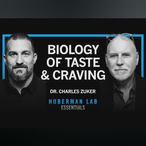 Essentials: The Biology of Taste Perception & Sugar Craving | Dr. Charles Zuker cover art