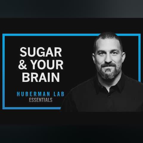Control Sugar Cravings & Metabolism with Science-Based Tools | Huberman Lab Essentials cover art