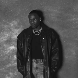 Fireboy DML cover art