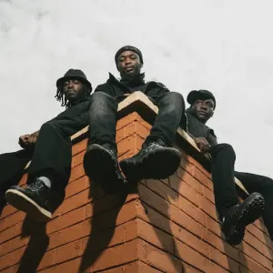 Wakadinali cover art