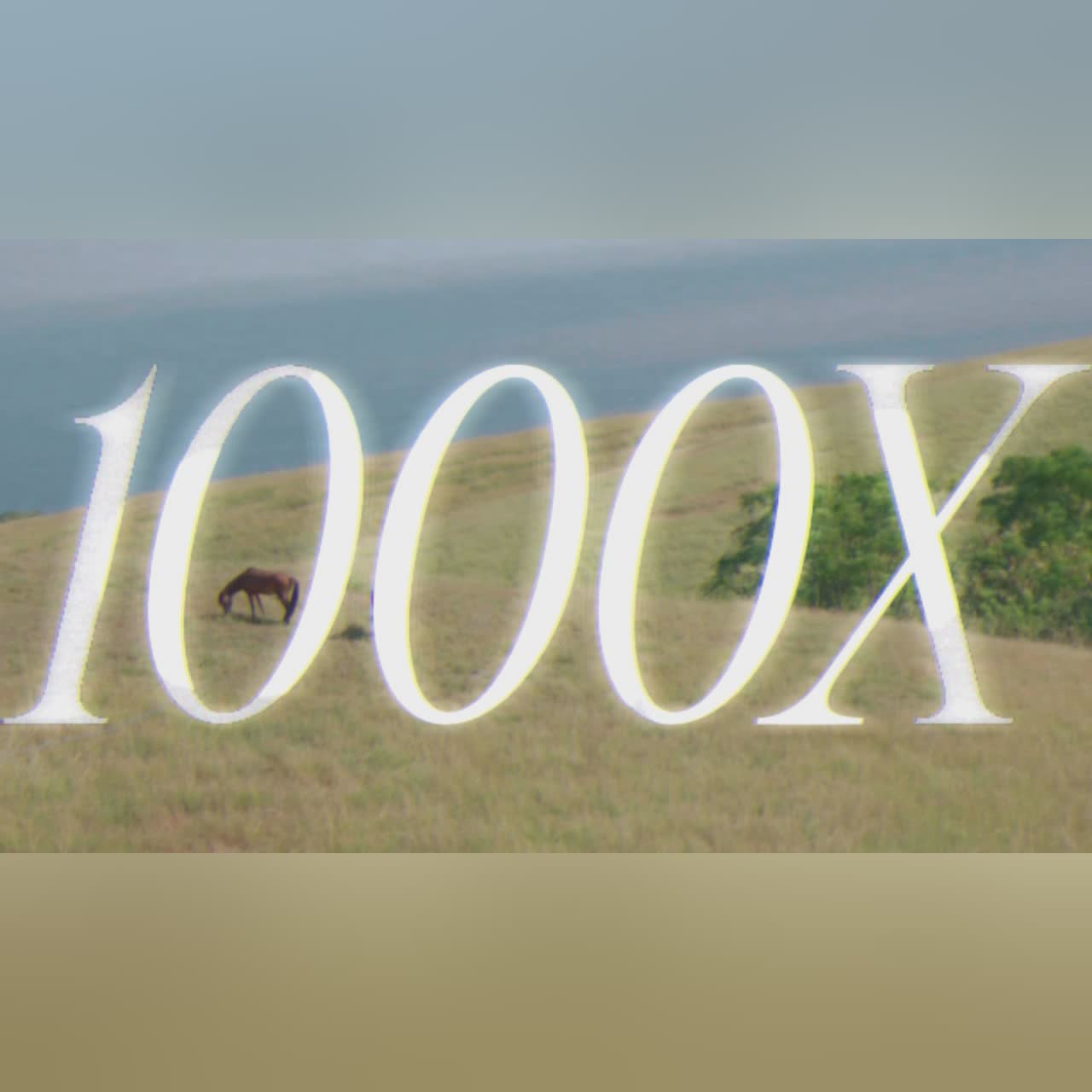 1000X cover art