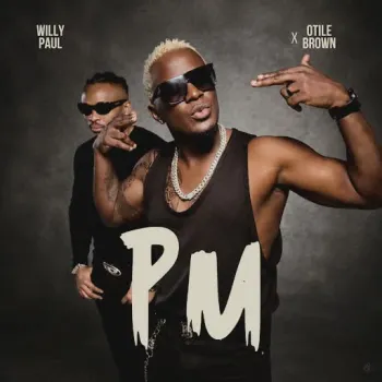 Willy Paul cover art