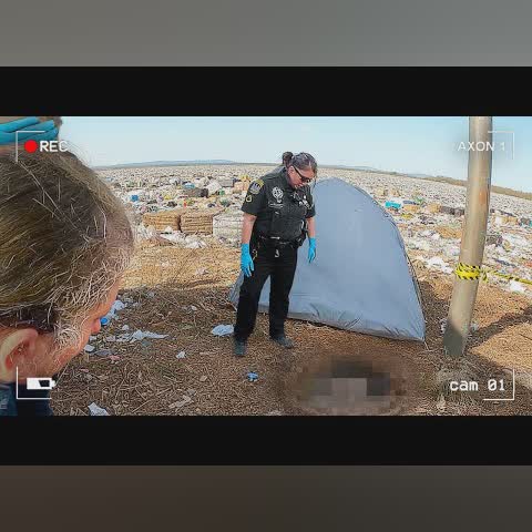 Police Discover Decomposing Body In Landfill cover art