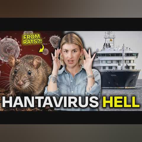 Hantavirus News: The Cruise Ship & Is it Really Spreading? cover art