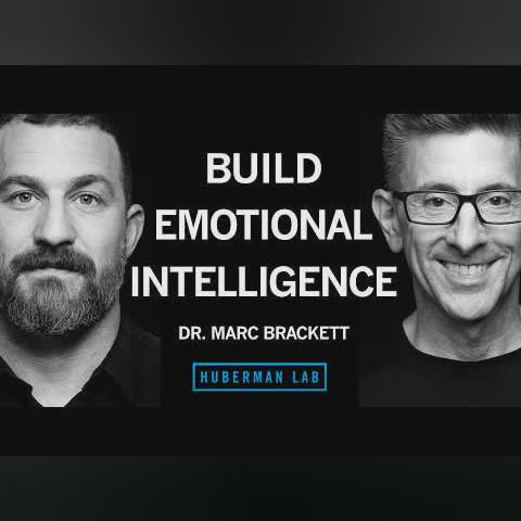 How to Better Regulate Your Emotions | Dr. Marc Brackett cover art