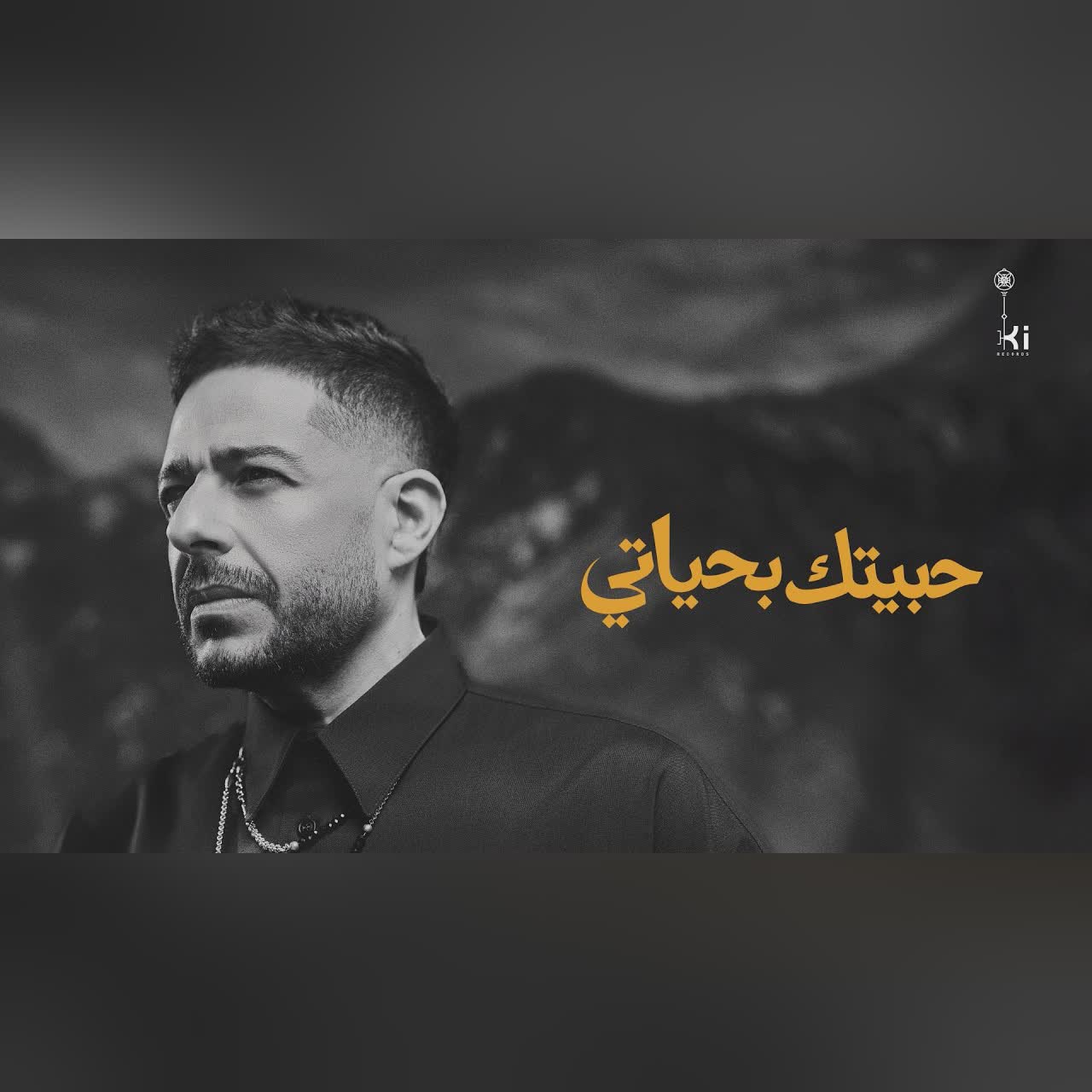 Hamaki - Habeitak Be Hayaty | حماقي - حبيتك بحياتي cover art