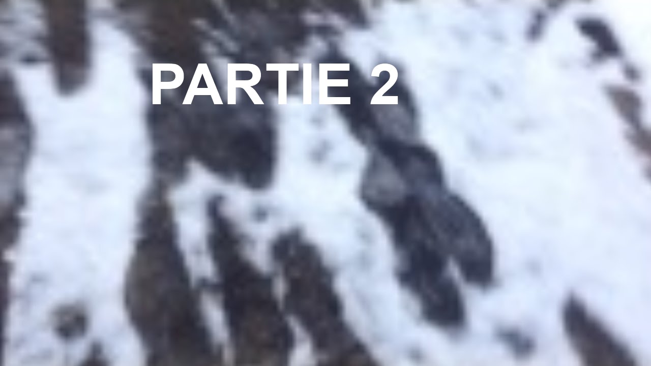 Partie 2 Signes D cover art