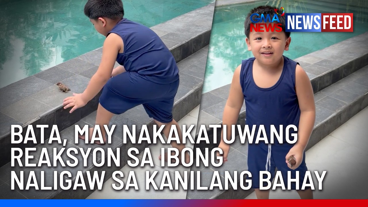 GMA News Feed 2026