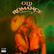 Enjoy cover art