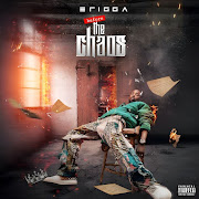 The End cover art