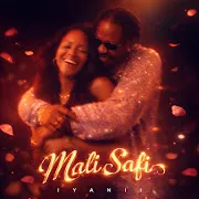 Mali Safi cover art