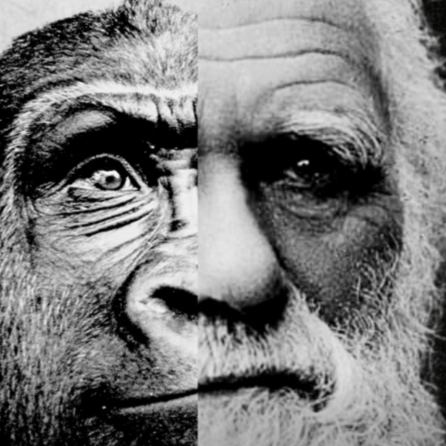SOSOK DI BALIK TEORI PALING BERBAHAYA! Siapa Sebenarnya Charles Darwin Dan Apa Itu Teori Evolusi? cover art