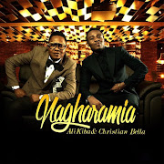 Nagharamia cover art