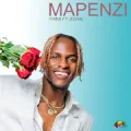 Mapenzi