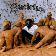 Skeletun cover art
