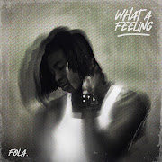 who does that? (feat. Bella Shmurda) cover art