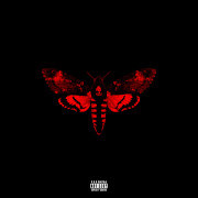 African Diva (feat. Rick Ross & LiL Wayne) (feat. Rick Ross & Lil Wayne) cover art