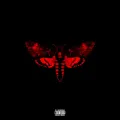 African Diva (feat. Rick Ross & LiL Wayne) (feat. Rick Ross & Lil Wayne)