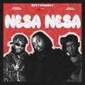 Nesa Nesa (feat. Diamond Platnumz & Khalil Harrison)