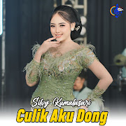 Culik Aku Dong cover art