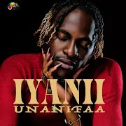 Unanifaa cover art