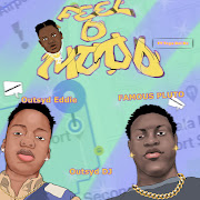 Feel D Mood (feat. Tega boi dc) cover art