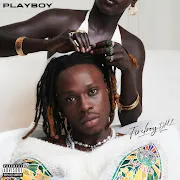 Playboy cover art
