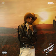 Arizona cover art