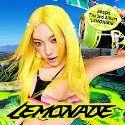 Camouflage cover art