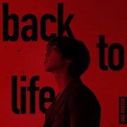 HAN "back to life" | [Stray Kids : SKZ-PLAYER] cover art