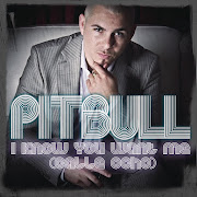 I Know You Want Me (Calle Ocho) cover art