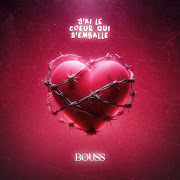 J'ai le cœur qui s'emballe cover art