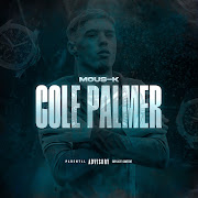 Cole Palmer cover art