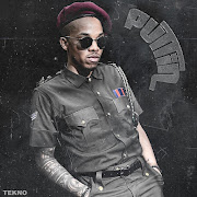 PuTTin cover art