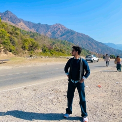 author avatar