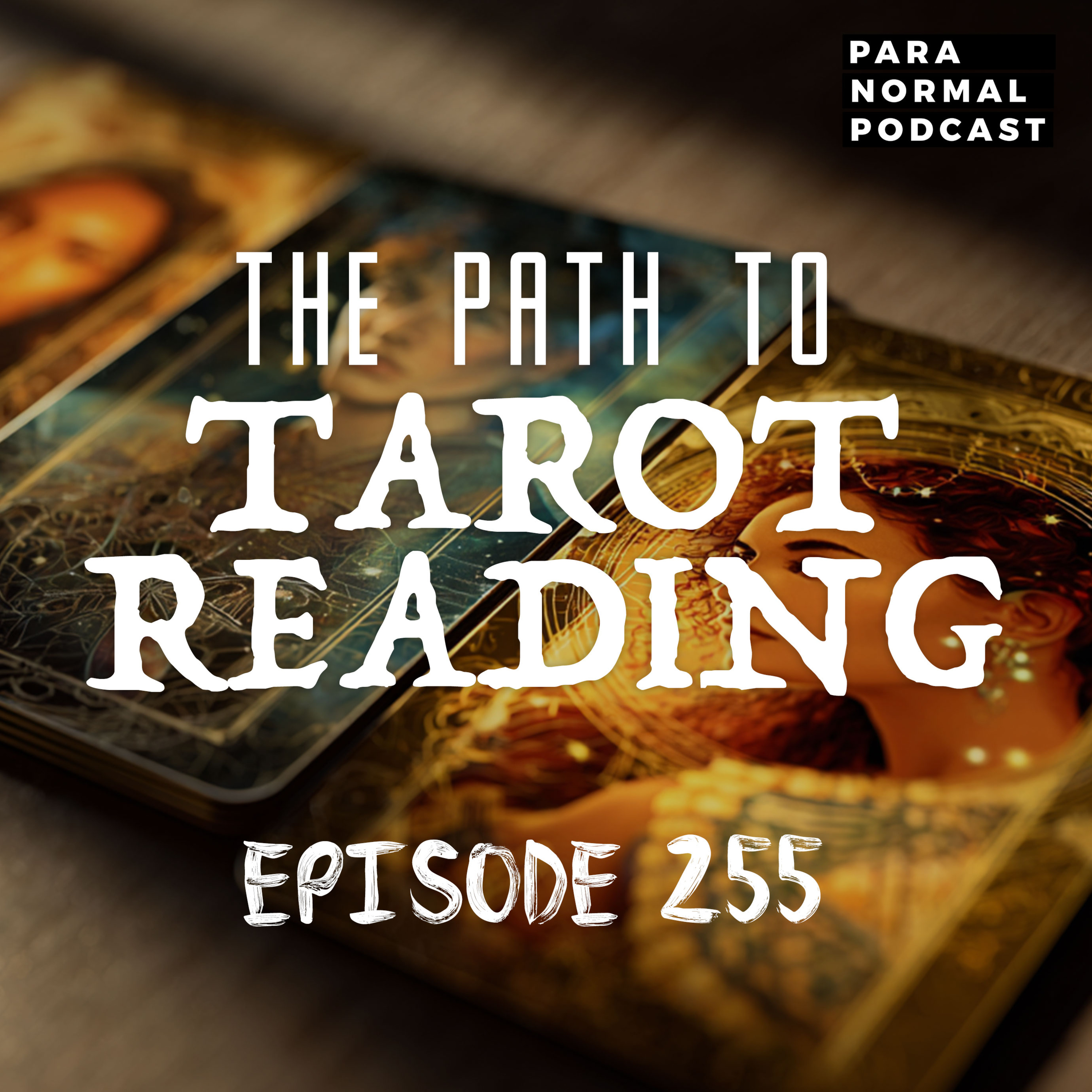 EP 255 - The Path to Tarot Reading cover art