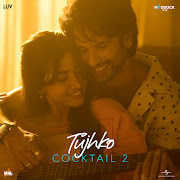 Tujhko cover art