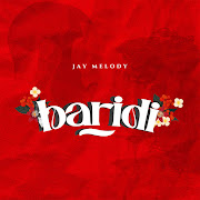 Baridi cover art