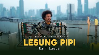 Lesung Pipi cover art