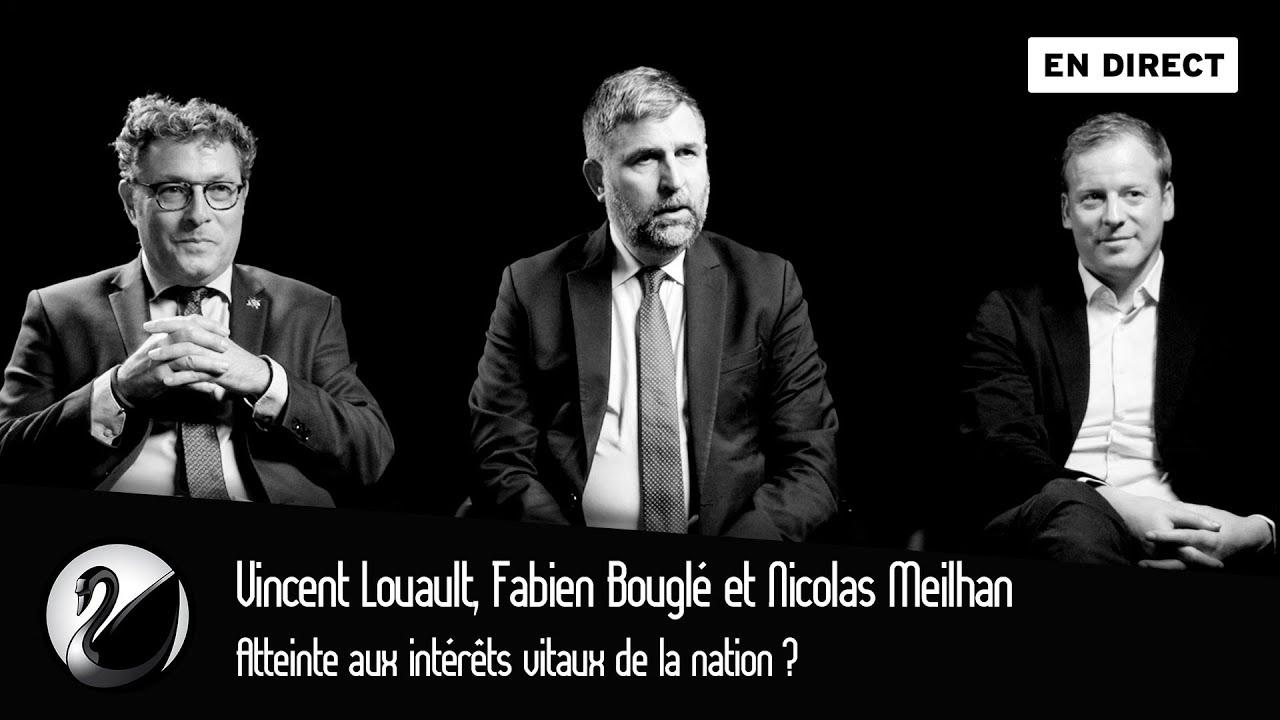 Vincent Louault, Fabien Bouglé et N. Meilhan : Atteinte aux intérêts vitaux de la nation ? cover art