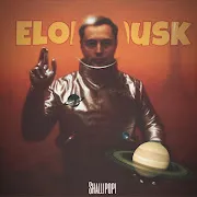 Elon musk cover art