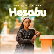 Hesabu cover art