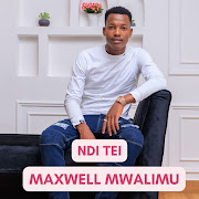 NDI TEI cover art