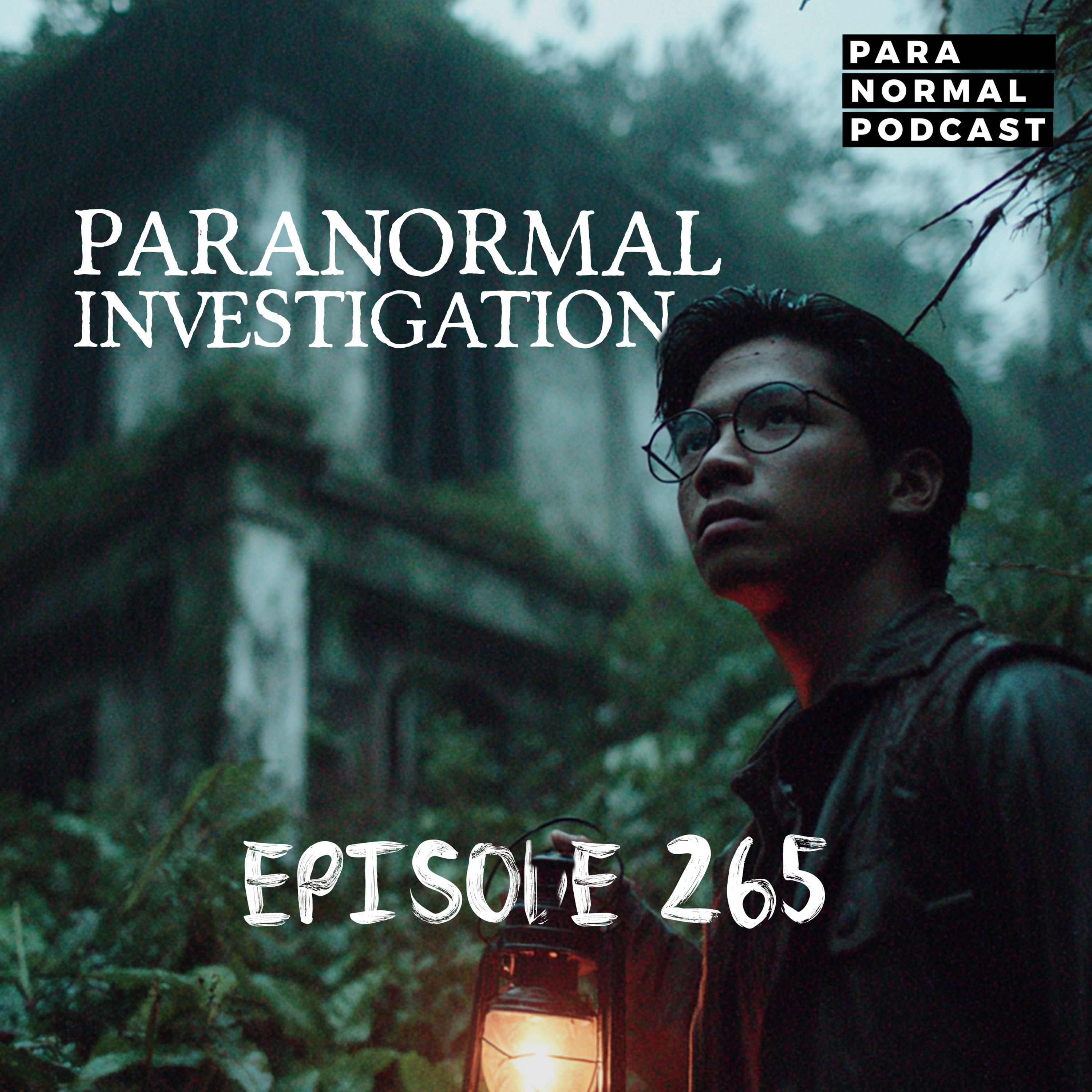 EP 265 - Paranormal Investigation with Theophilus cover art