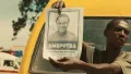 Amepotea