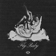 Fly Baby cover art